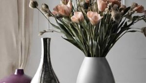 Tips for home decor and making it look fancy and stylish