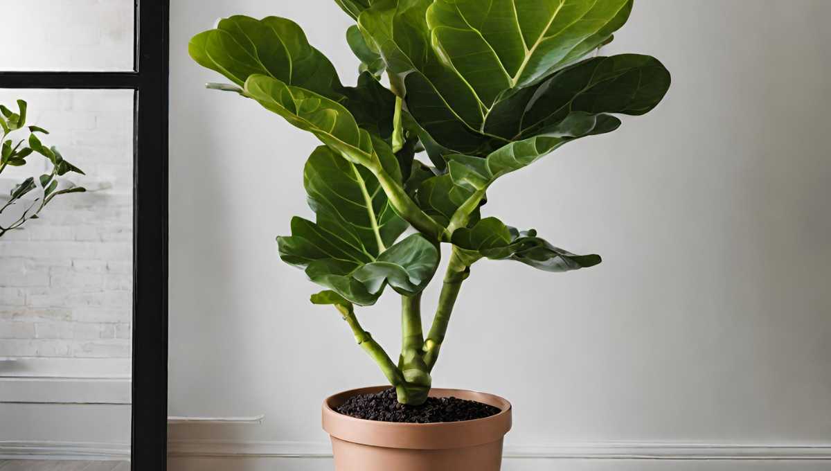 Unlock the Secrets of Home Styling with Indoor Plants